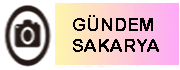 Anasayfa