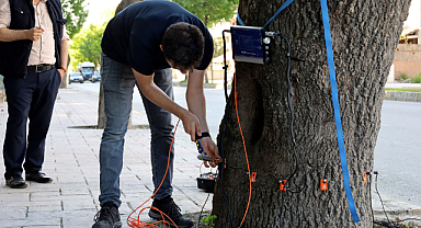 Bu cihaz Sakarya’da yeşil cennetin tomografisini çekecek